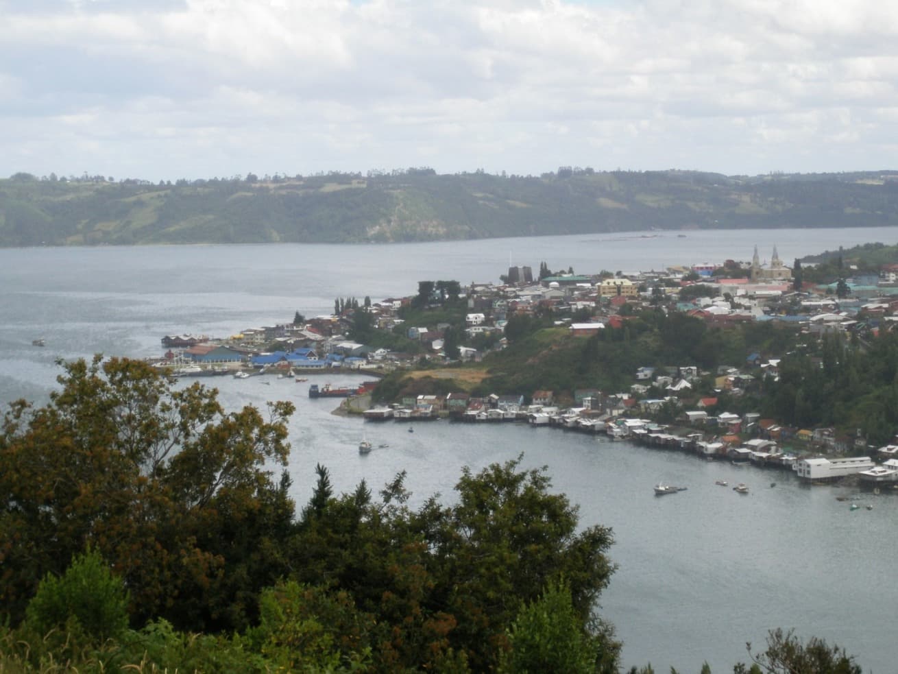 Sendero de alerces en Chiloé