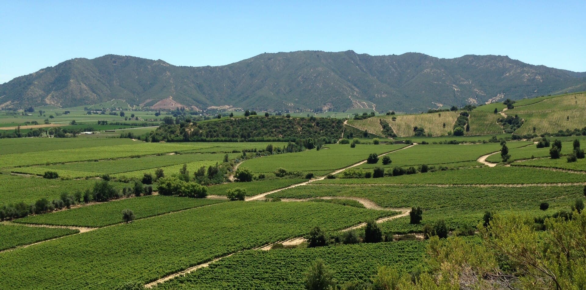 Cata de vinos en Colchagua