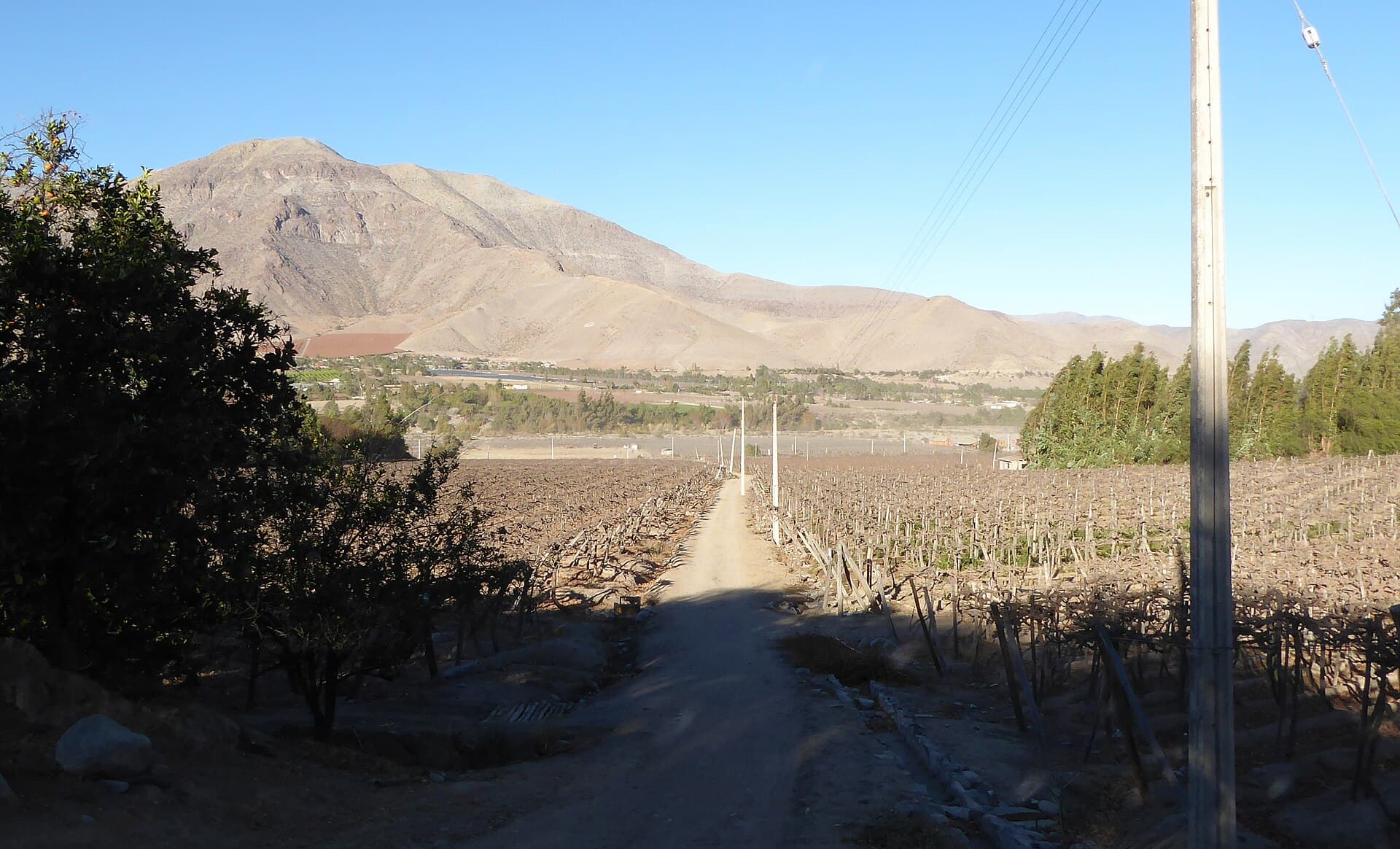 Valle del Elqui